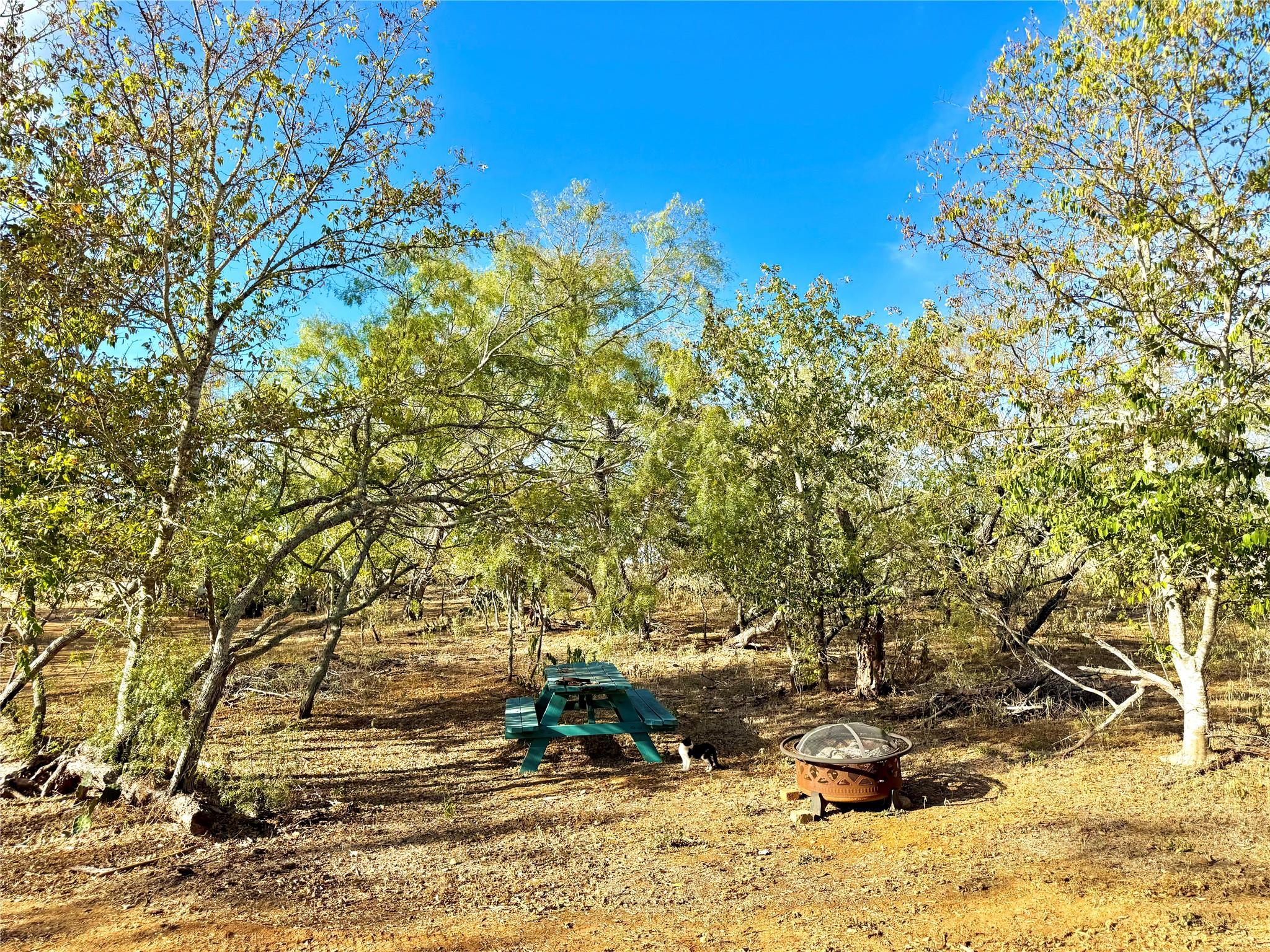 6052 Tenney Creek Road Luling TX 78648
