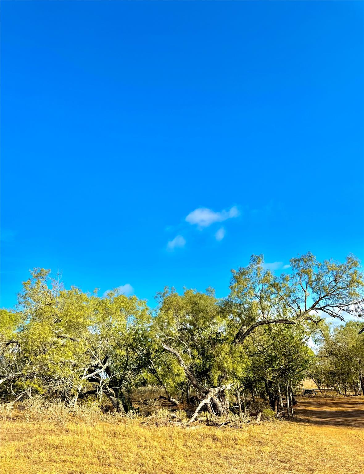6052 Tenney Creek Road Luling TX 78648
