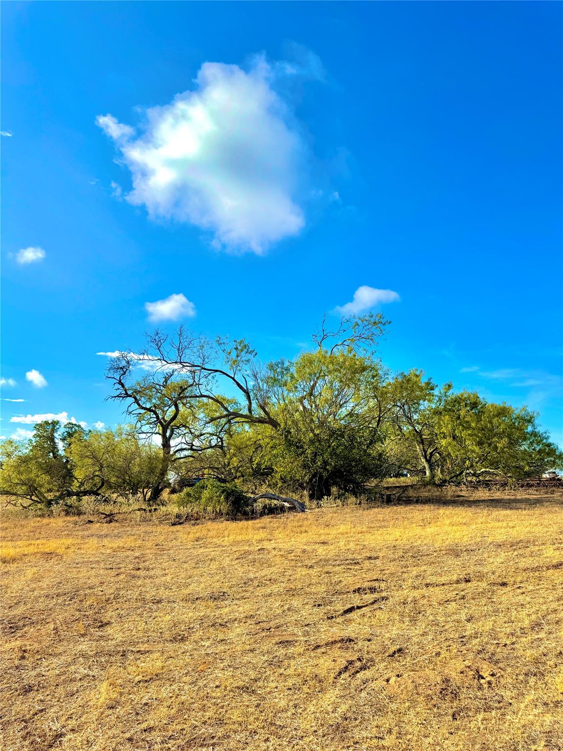 6052 Tenney Creek Road Luling TX 78648