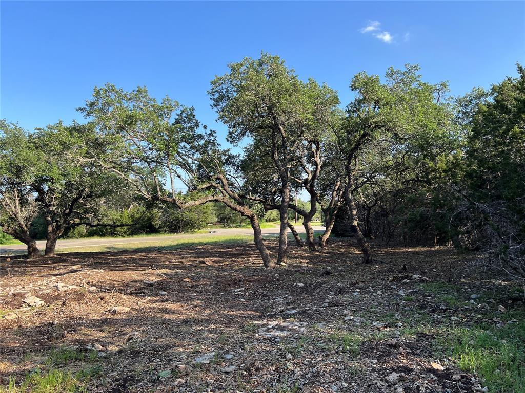 304 Stonegate Lane Dripping Springs TX 78620
