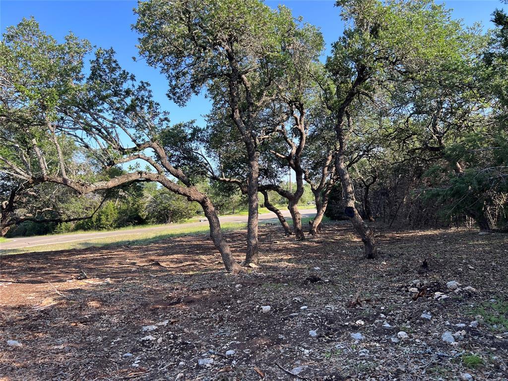 304 Stonegate Lane Dripping Springs TX 78620