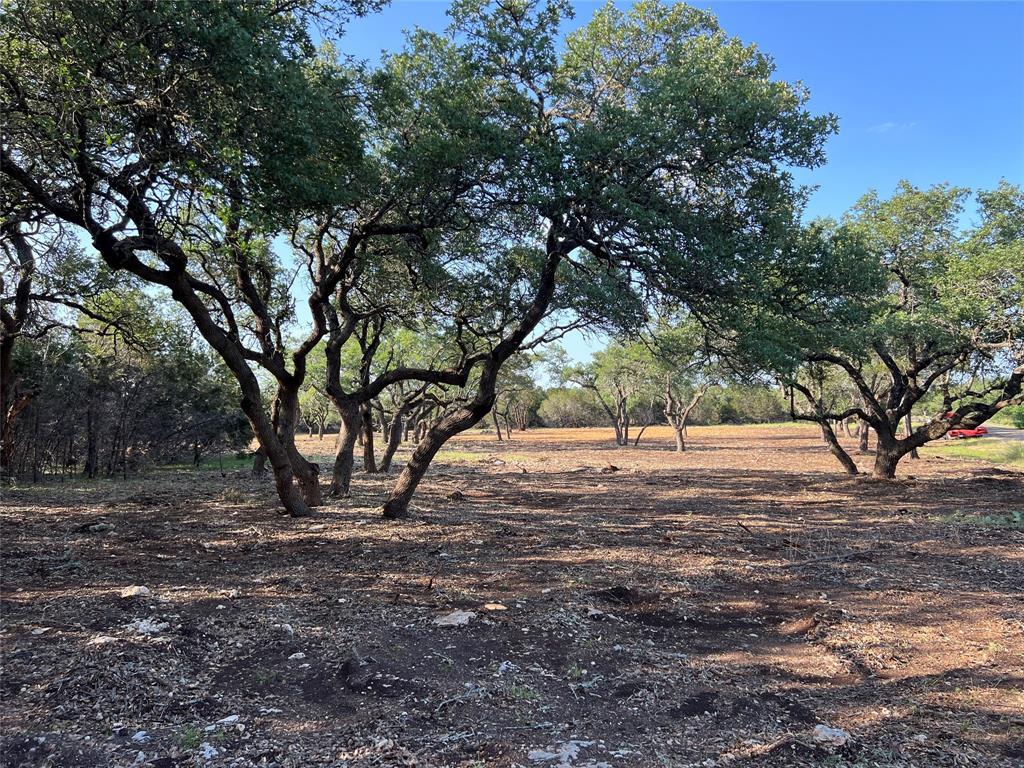 304 Stonegate Lane Dripping Springs TX 78620