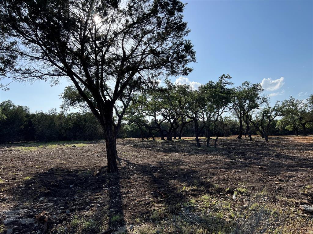304 Stonegate Lane Dripping Springs TX 78620