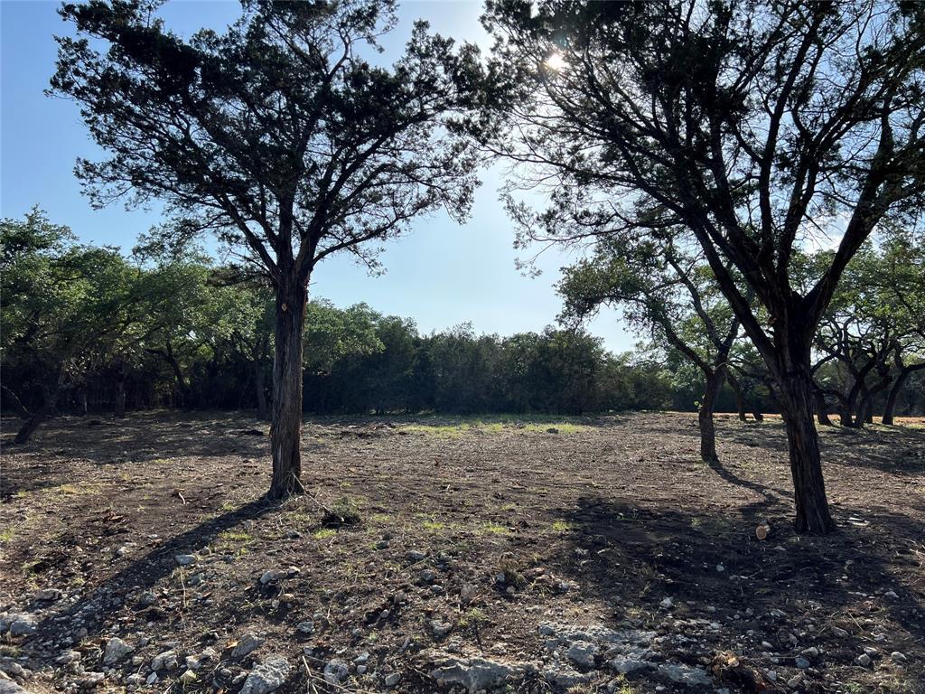 304 Stonegate Lane Dripping Springs TX 78620