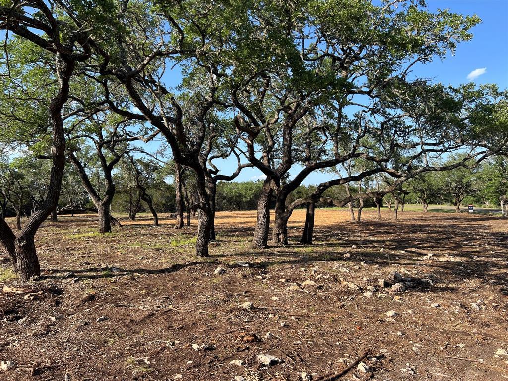 304 Stonegate Lane Dripping Springs TX 78620