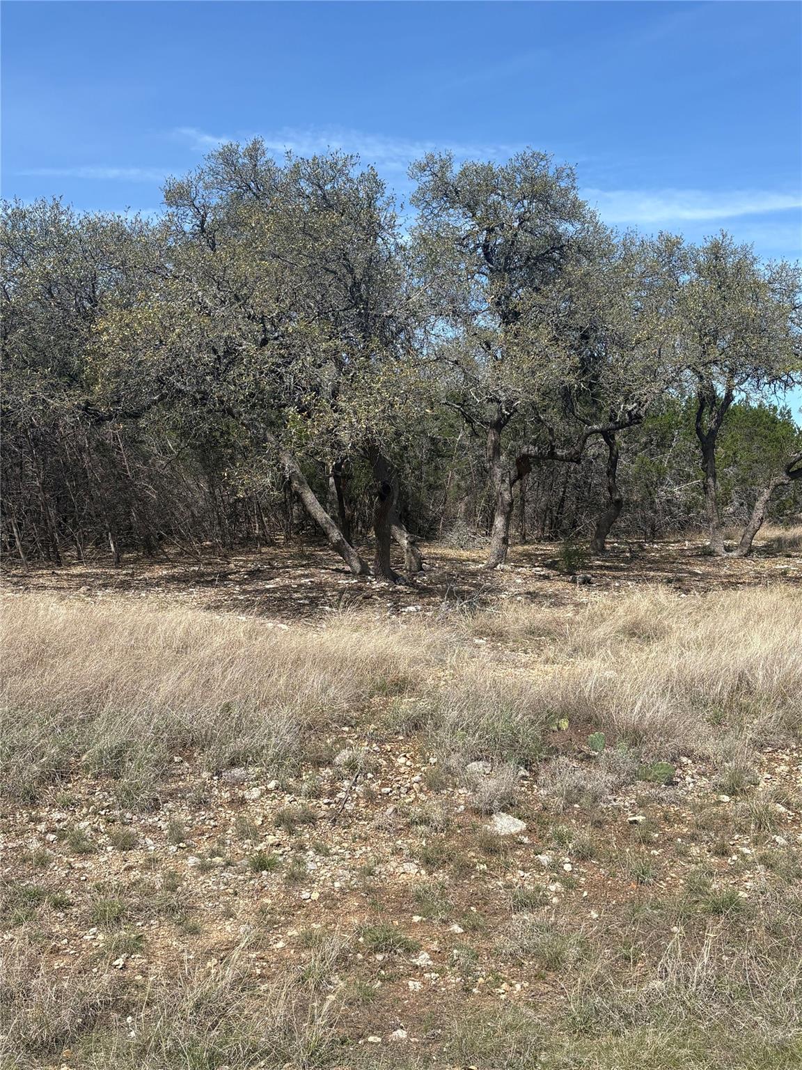 304 Stonegate Lane Dripping Springs TX 78620