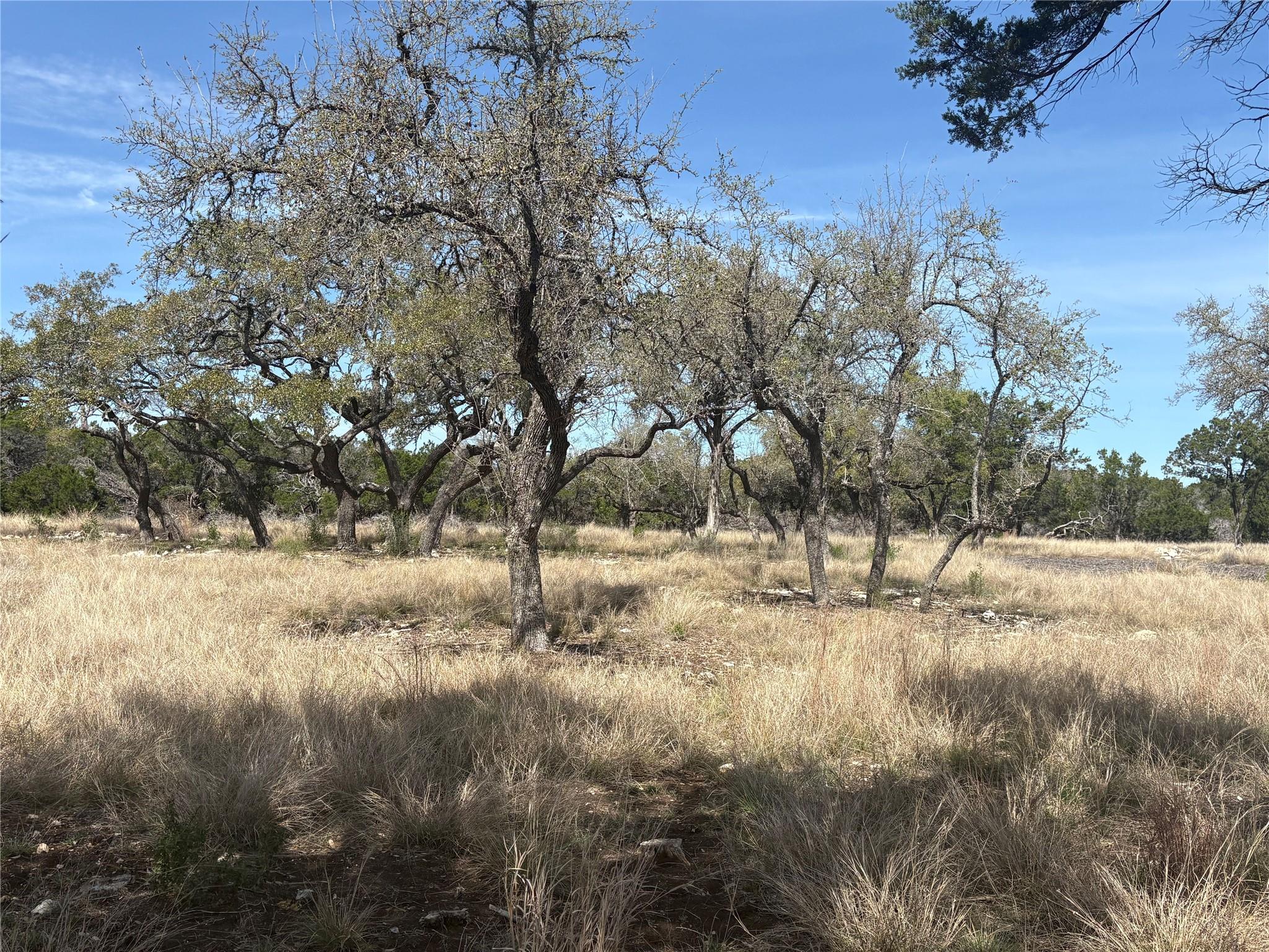 304 Stonegate Lane Dripping Springs TX 78620