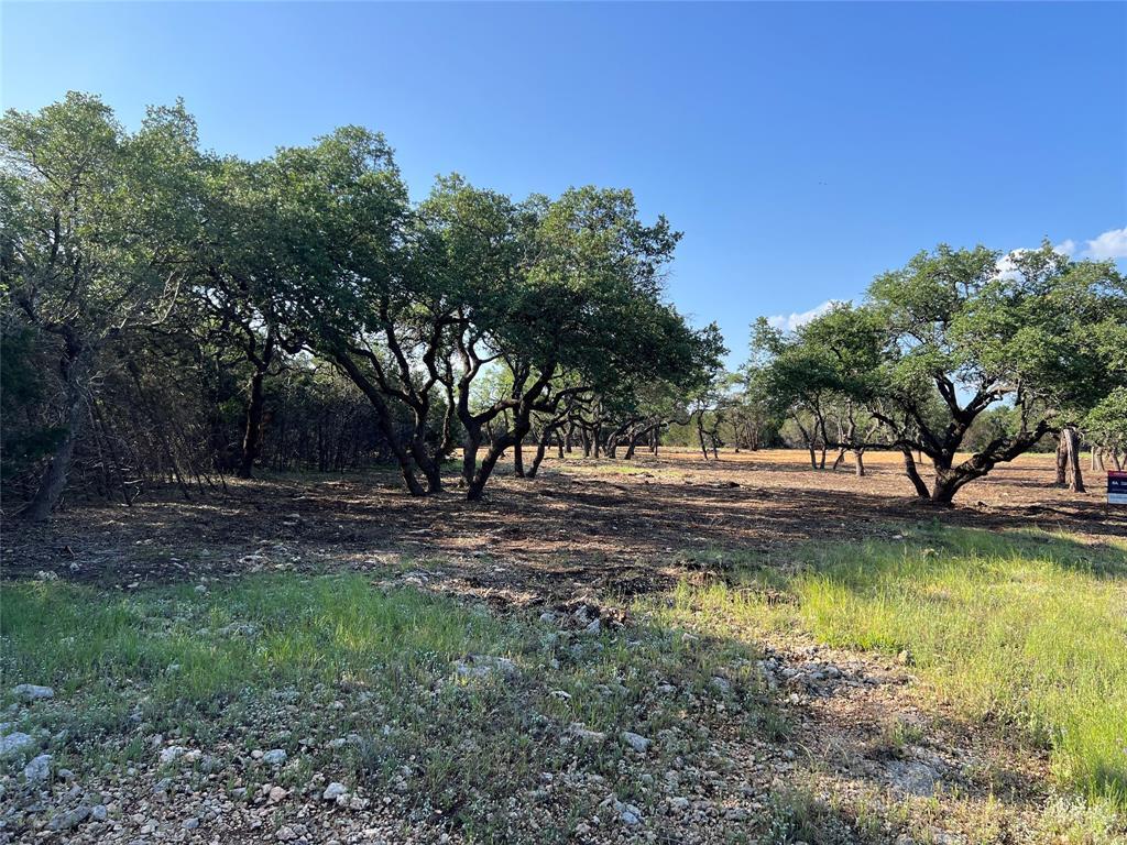 304 Stonegate Lane Dripping Springs TX 78620