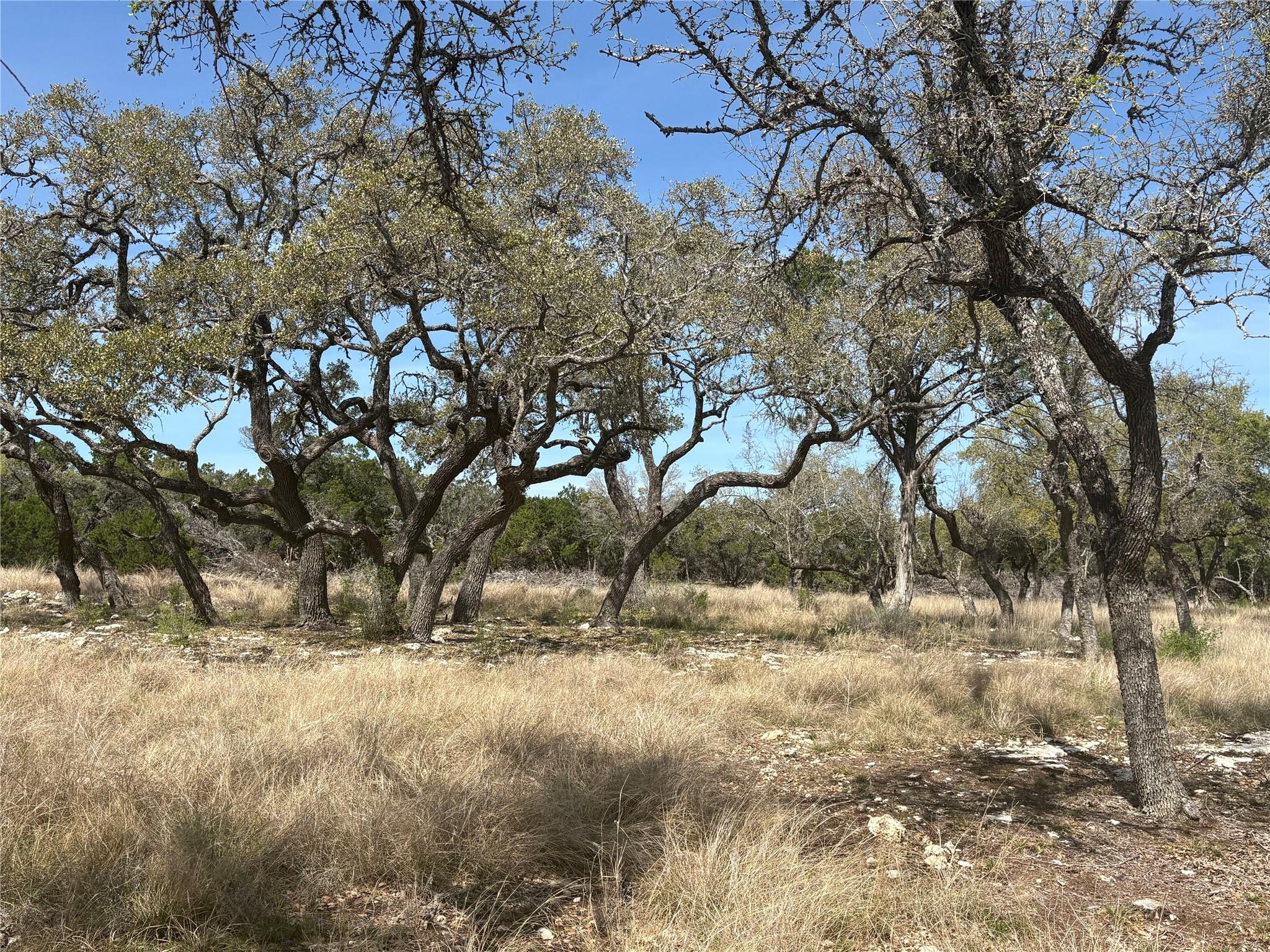 304 Stonegate Lane Dripping Springs TX 78620