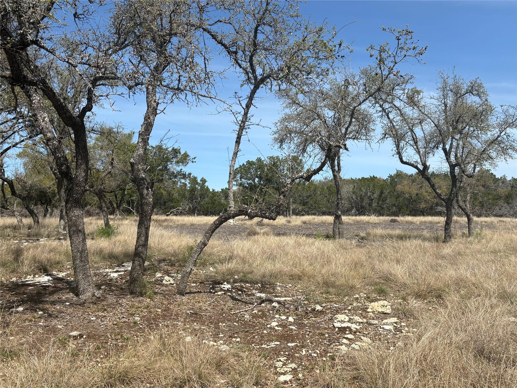 304 Stonegate Lane Dripping Springs TX 78620
