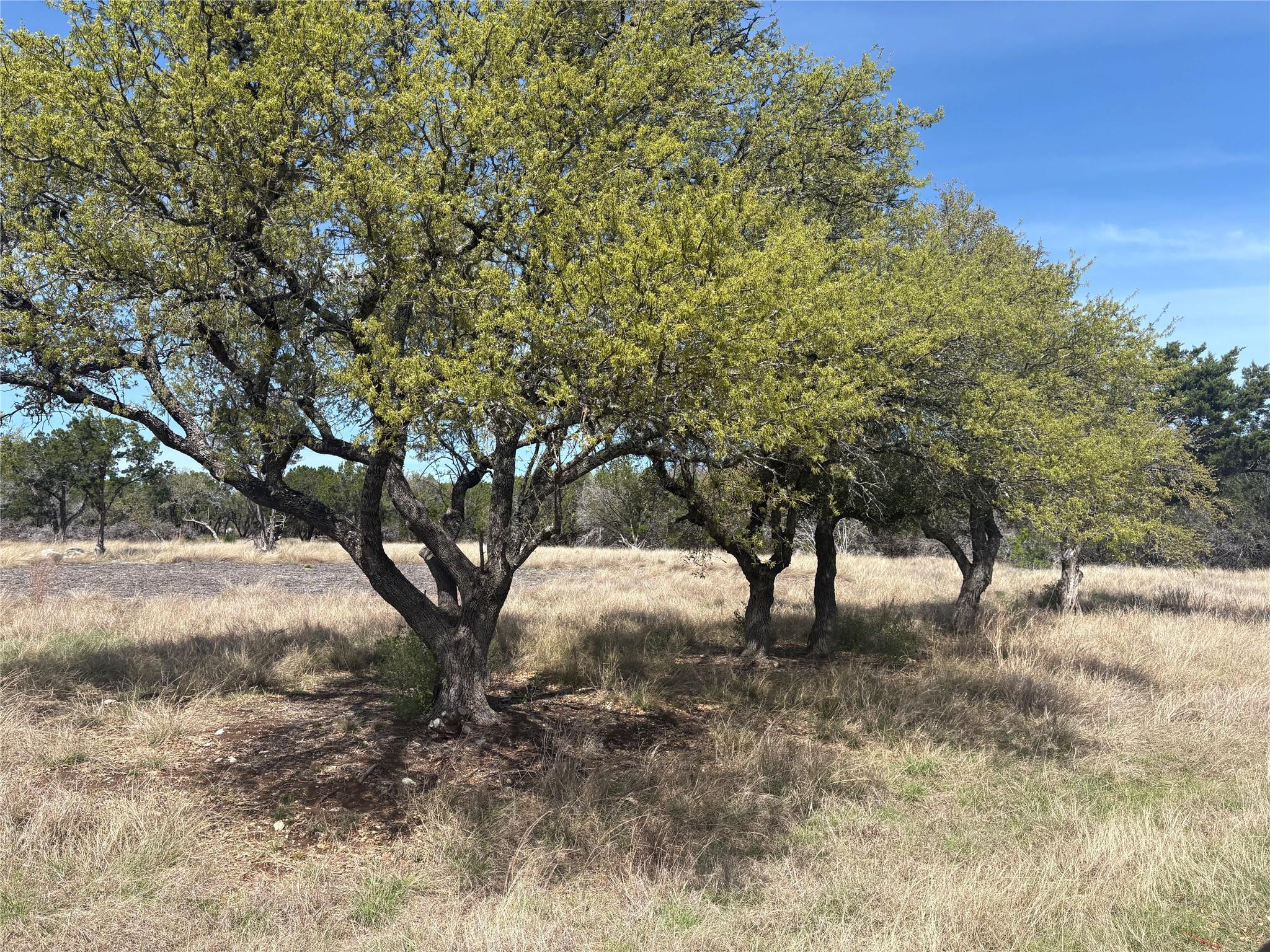 304 Stonegate Lane Dripping Springs TX 78620