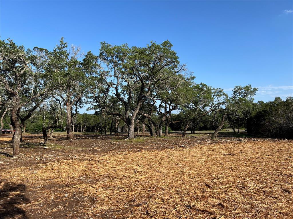 304 Stonegate Lane Dripping Springs TX 78620