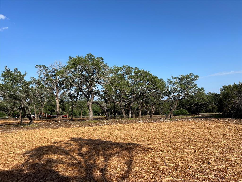304 Stonegate Lane Dripping Springs TX 78620