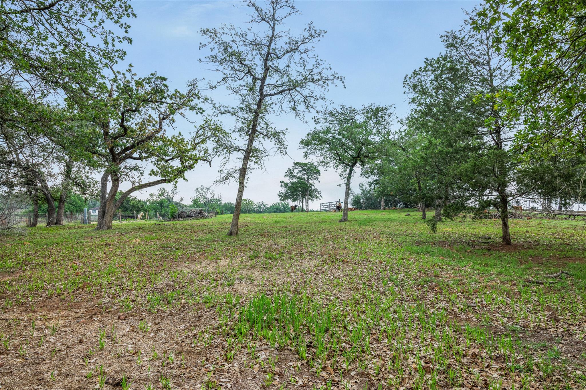 640 County Road 475 Road Luling TX 78648