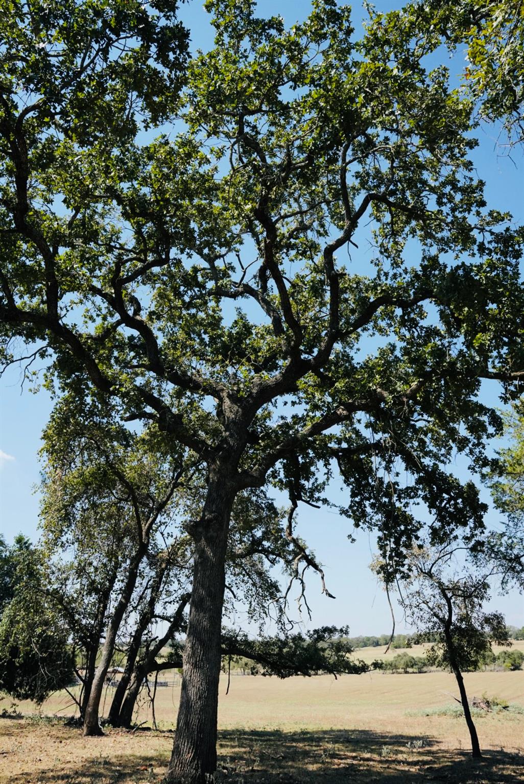640 County Road 475 Road Luling TX 78648