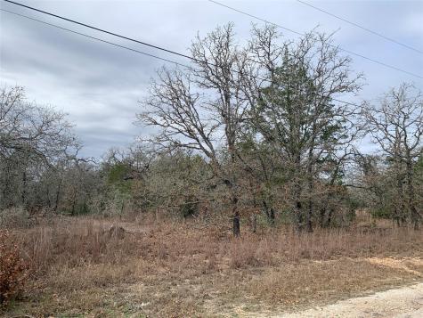 Tbd Peace Pipe/buffalo Run Smithville TX 78957