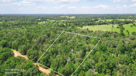 Tbd (+/- 2.5 Acres) Cedar Creek Caldwell TX 77836