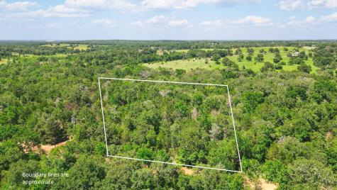 Tbd (+/- 2.5 Acres) Cedar Creek Caldwell TX 77836