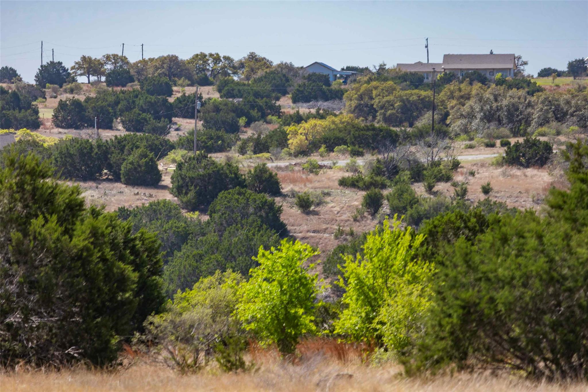 Lot 8 Saddle Ridge Drive Bertram TX 78605