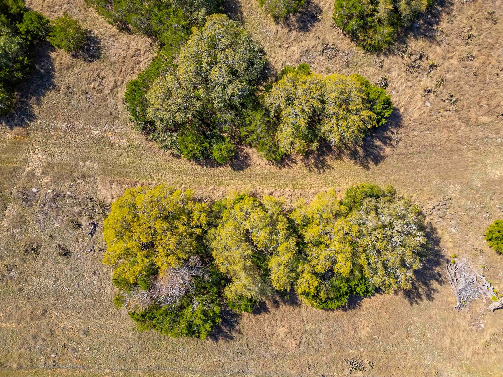 Lot 8 Saddle Ridge Drive Bertram TX 78605