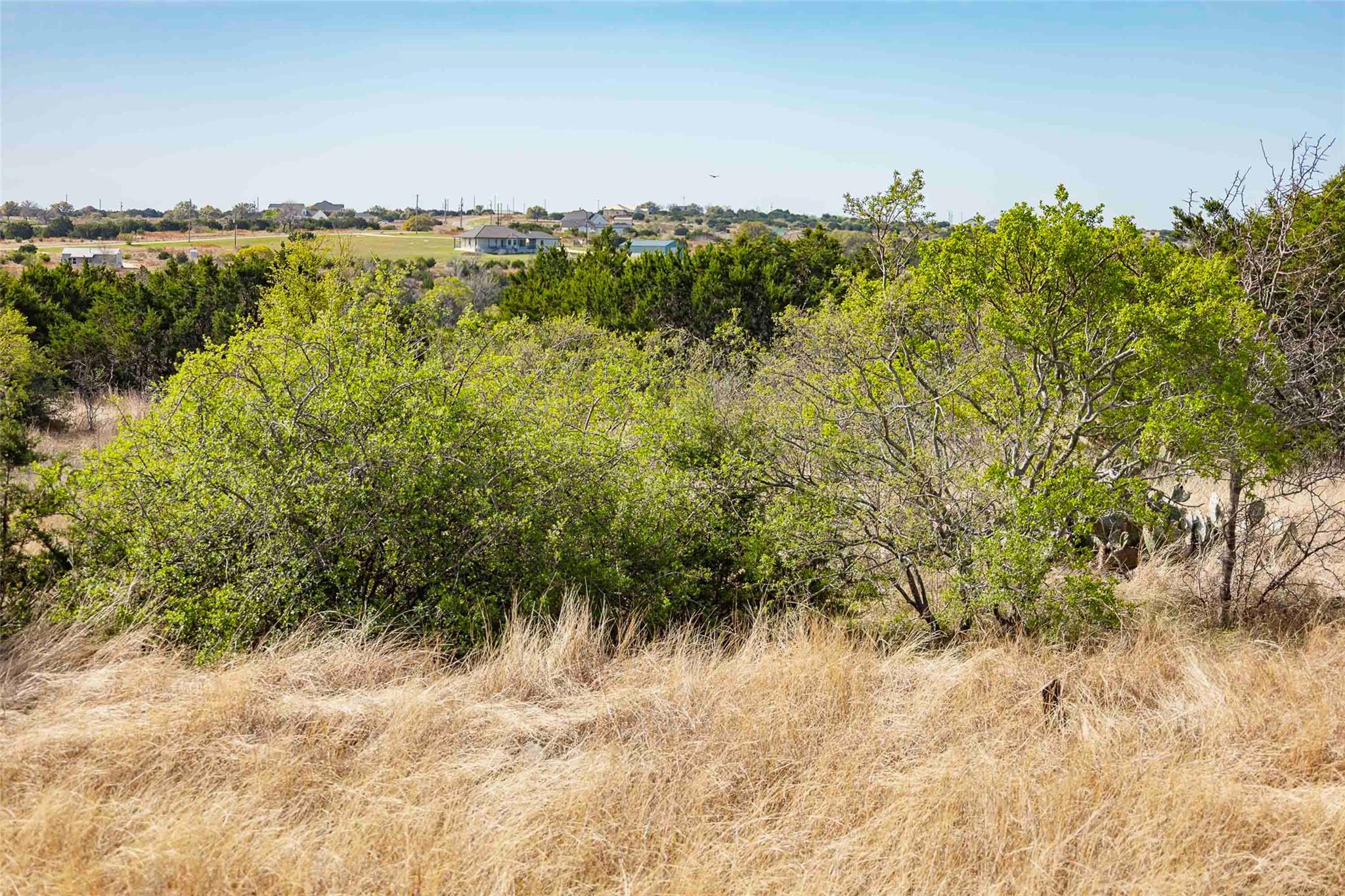 Lot 8 Saddle Ridge Drive Bertram TX 78605