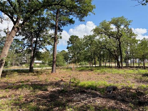 LOTS-95/96 Shawnee Drive Smithville TX 78957