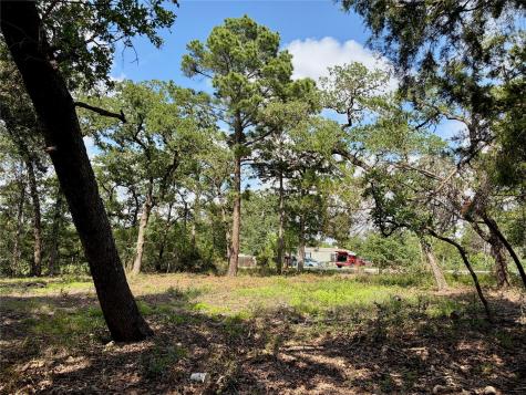 LOTS-95/96 Shawnee Drive Smithville TX 78957