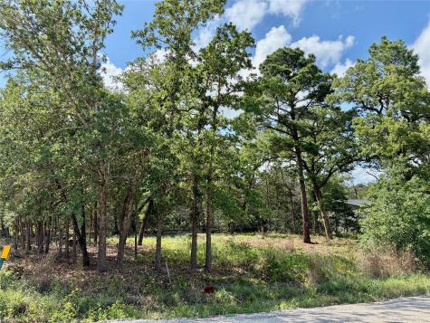 LOTS-95/96 Shawnee Drive Smithville TX 78957