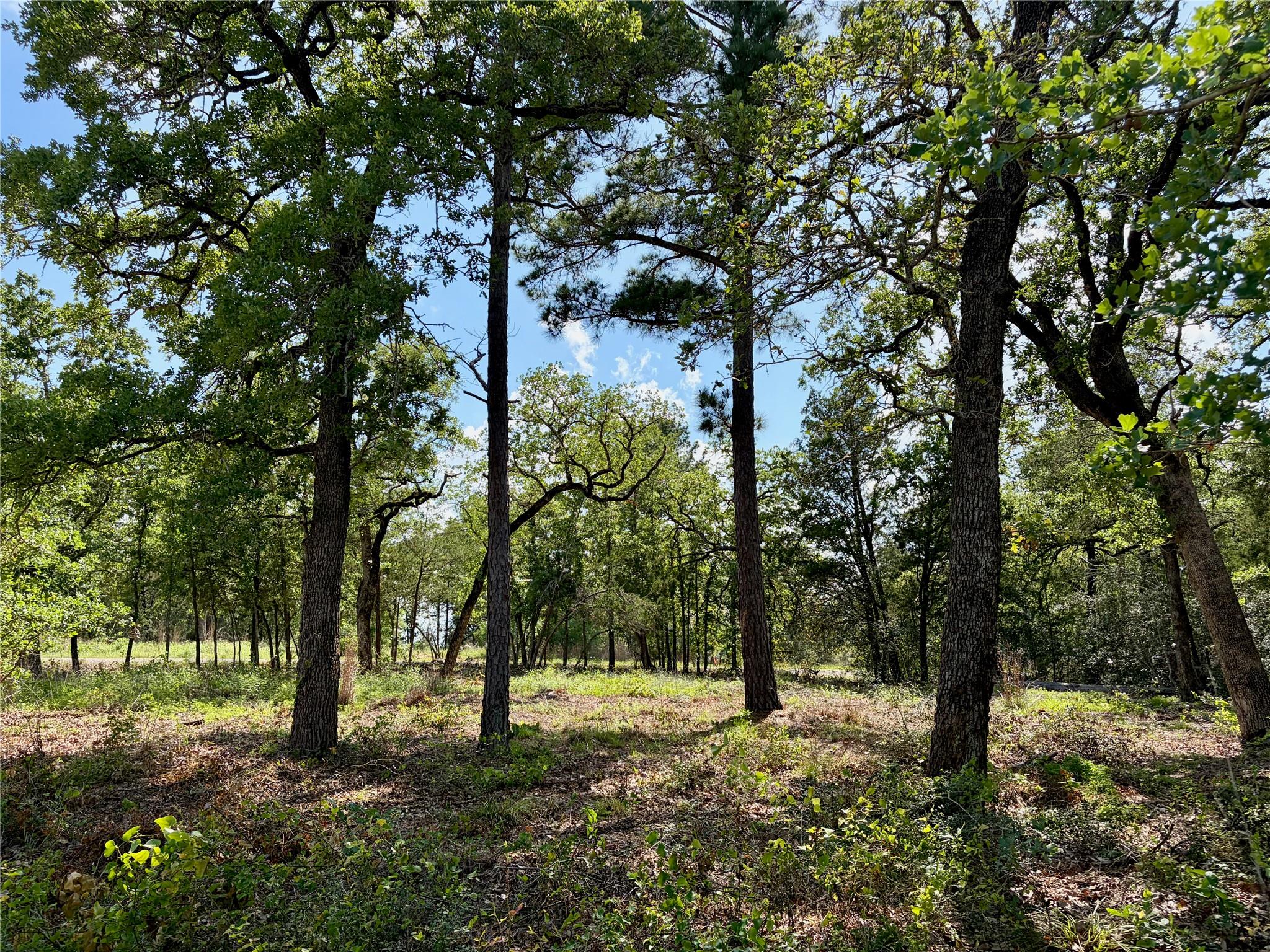 LOTS-95/96 Shawnee Drive Smithville TX 78957
