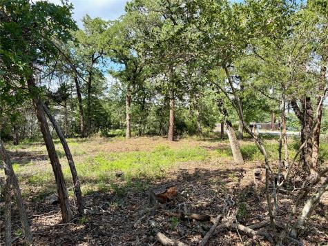 LOTS-95/96 Shawnee Drive Smithville TX 78957