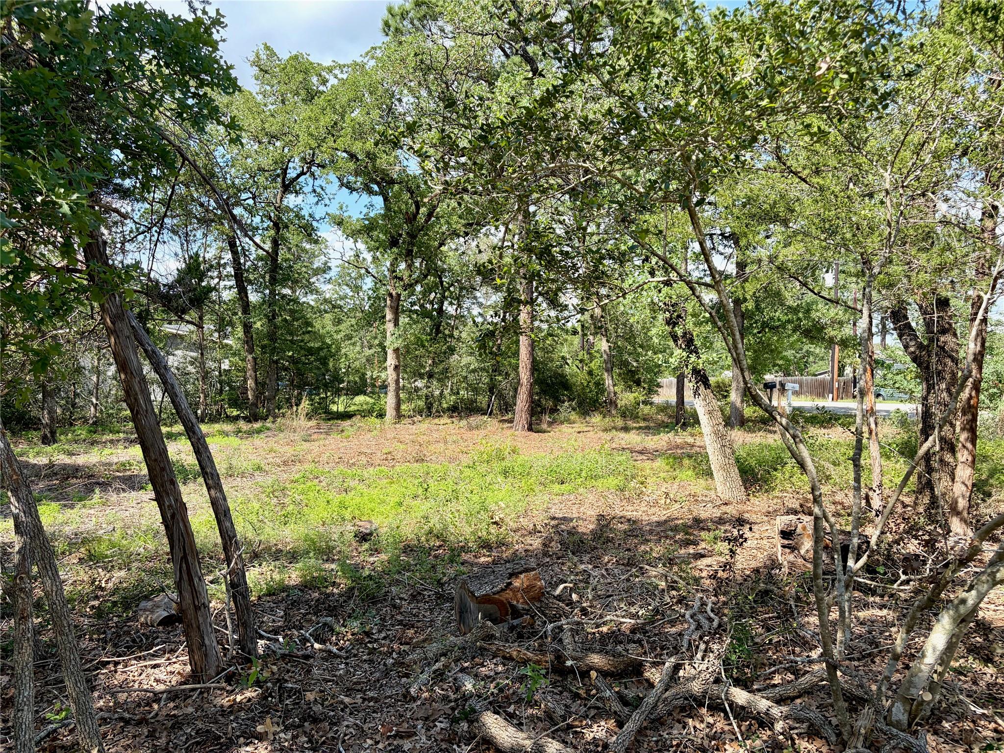 LOTS-95/96 Shawnee Drive Smithville TX 78957