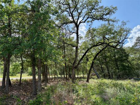 LOTS-95/96 Shawnee Drive Smithville TX 78957