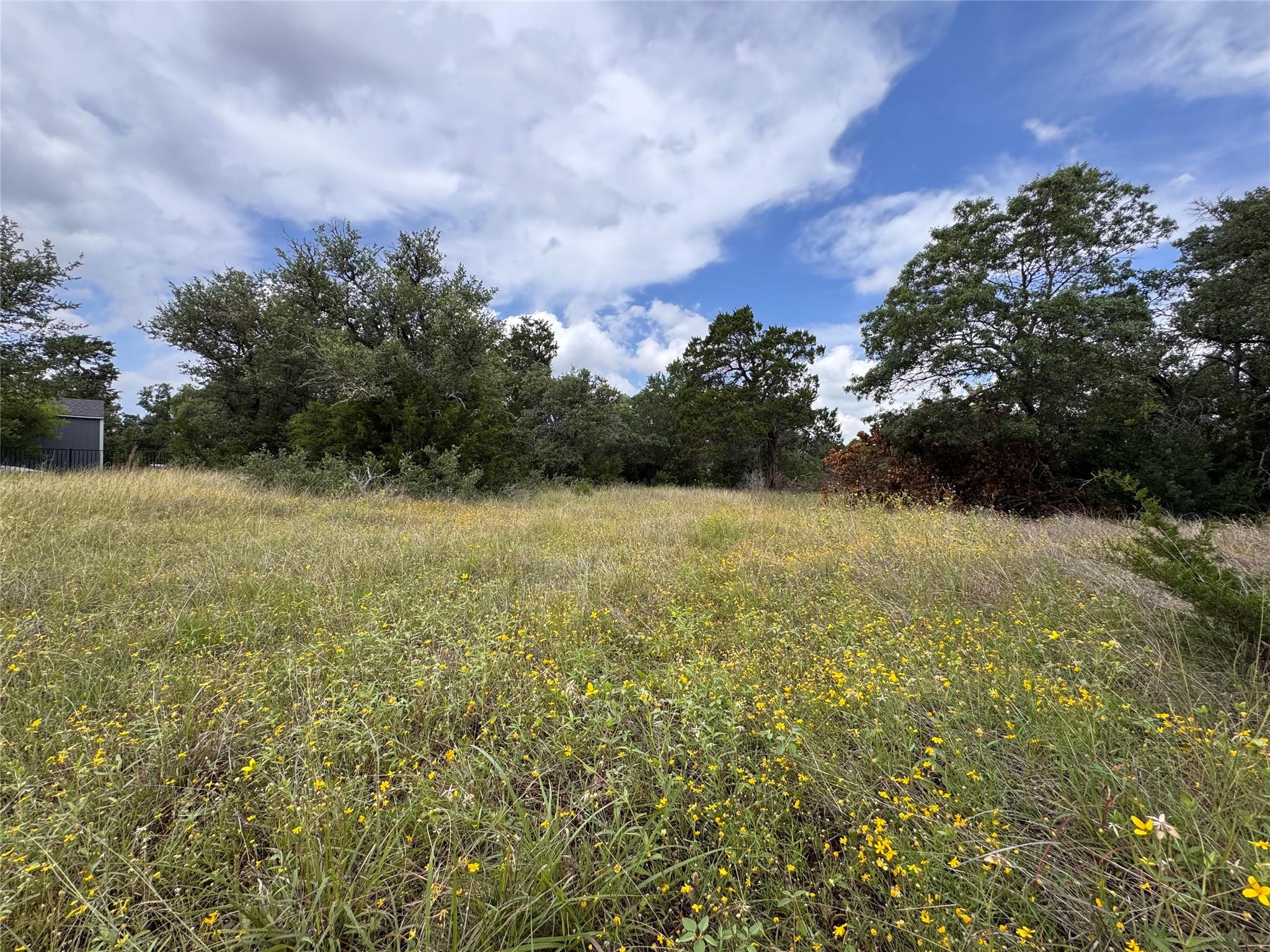 3317 Whitt Park Path Leander TX 78641