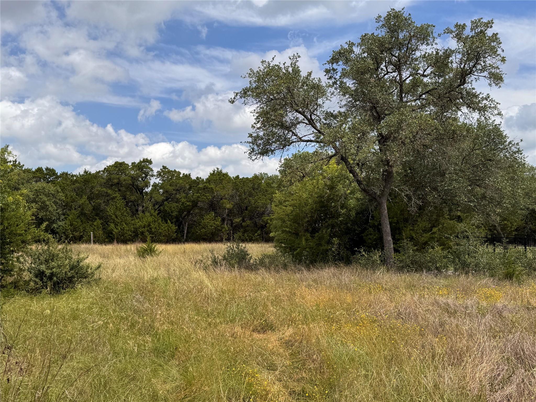 3317 Whitt Park Path Leander TX 78641