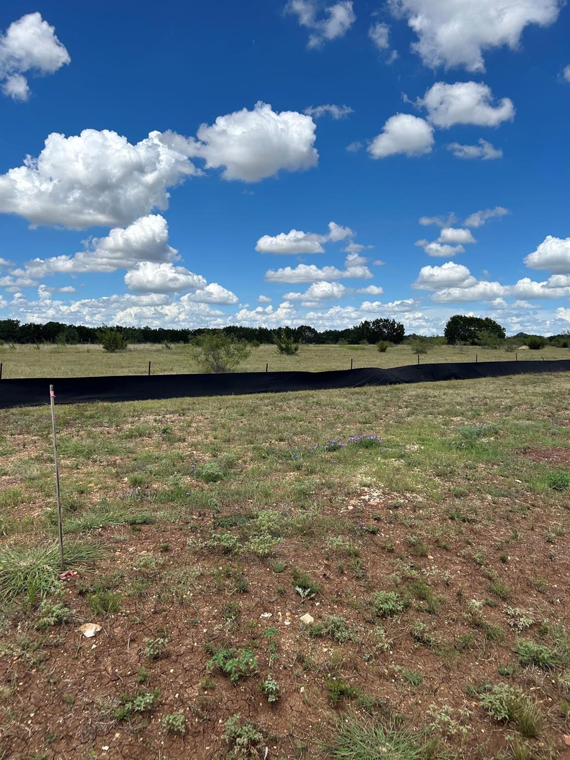 542 Arborland Drive Georgetown TX 78633