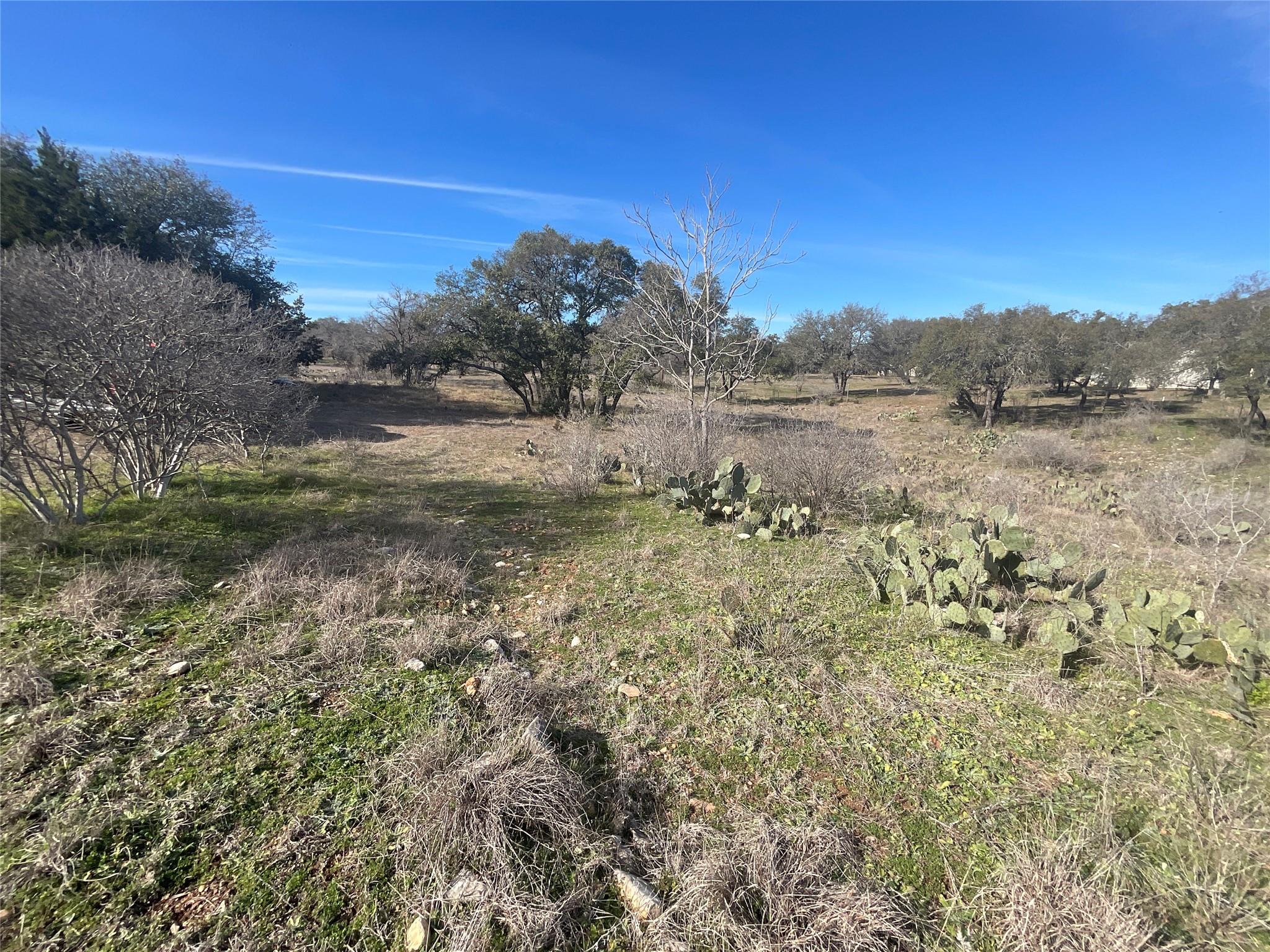 1909 Performer Road Spicewood TX 78669