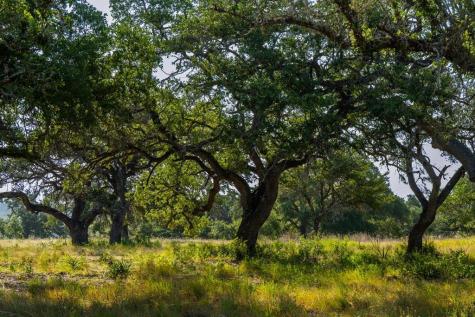 Lot 8 Tuscany Drive Driftwood TX 78619