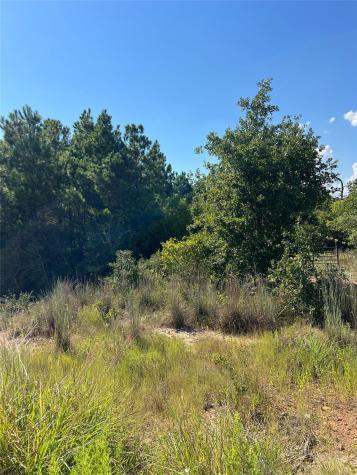Tbd Poi Court Bastrop TX 78602