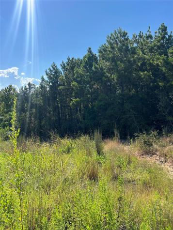 Tbd Poi Court Bastrop TX 78602