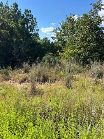 Tbd Poi Court Bastrop TX 78602