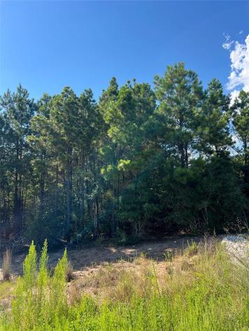 Tbd Poi Court Bastrop TX 78602