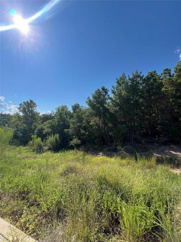 Tbd Poi Court Bastrop TX 78602