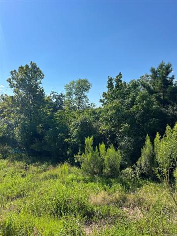 Tbd Poi Court Bastrop TX 78602