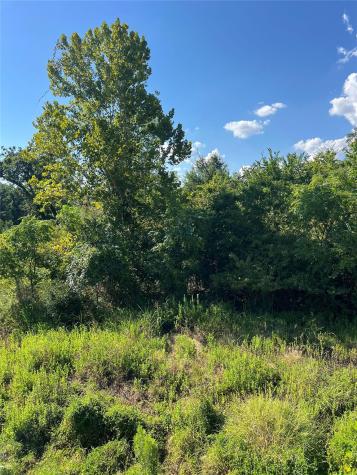 Tbd Poi Court Bastrop TX 78602