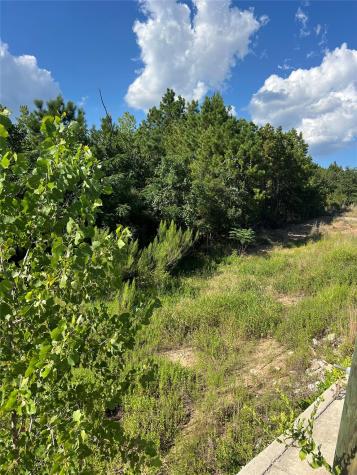 Tbd Poi Court Bastrop TX 78602