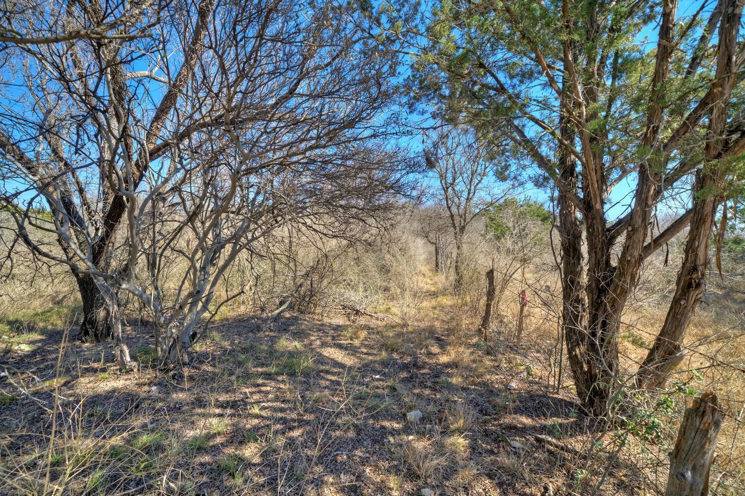 146 Eagle Basin Circle Spicewood TX 78669
