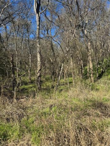Lots 638. 639. 640 Kaukonahua Lane Bastrop TX 78602