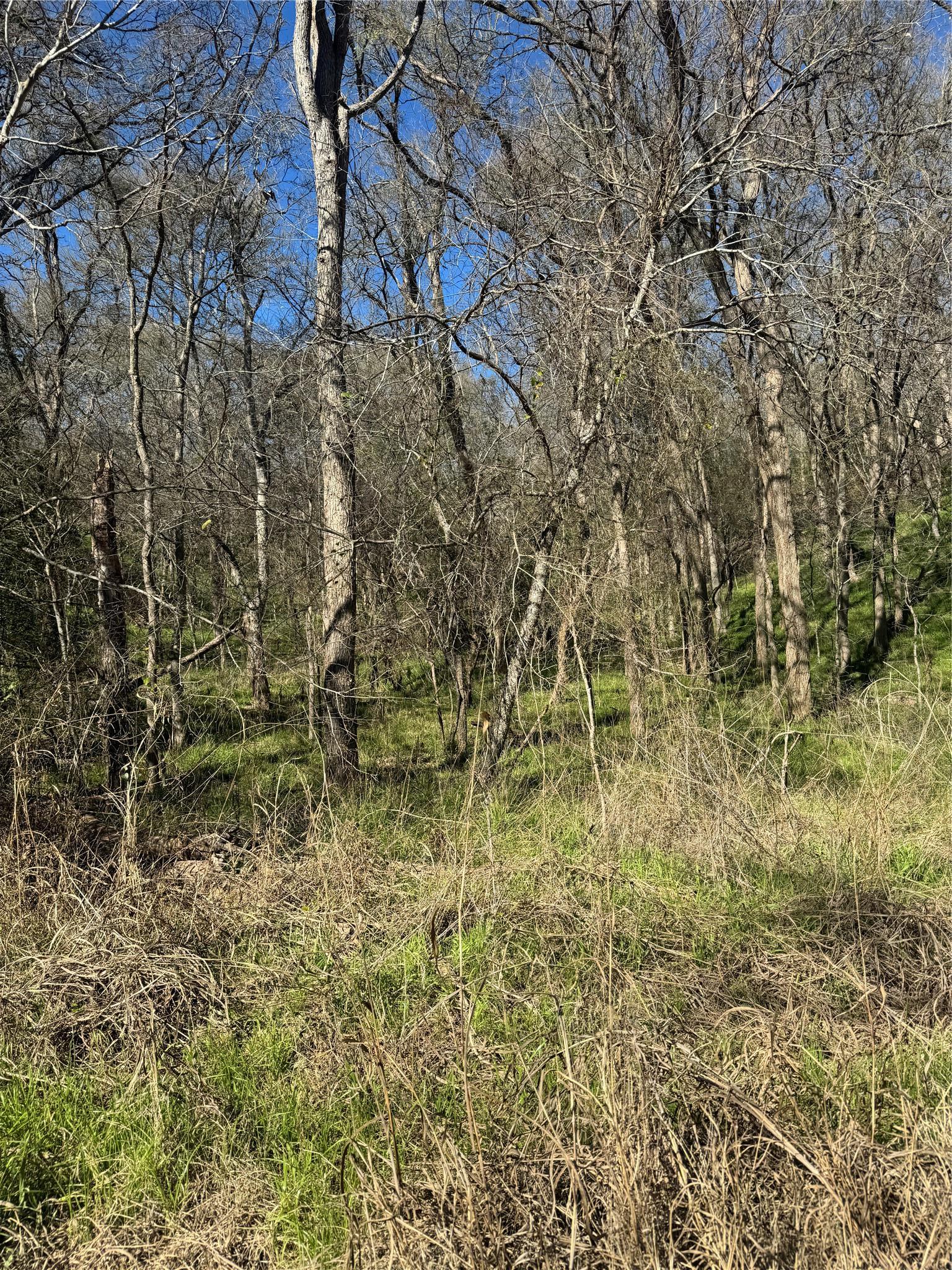 Lots 638. 639. 640 Kaukonahua Lane Bastrop TX 78602