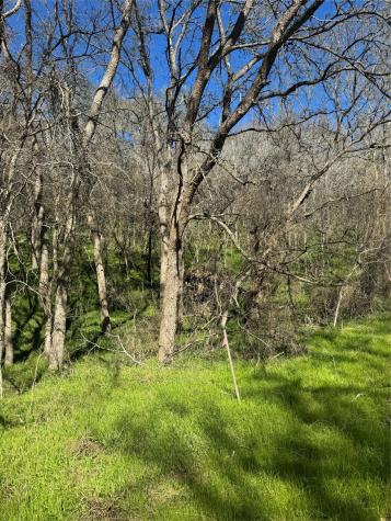 Lots 638. 639. 640 Kaukonahua Lane Bastrop TX 78602