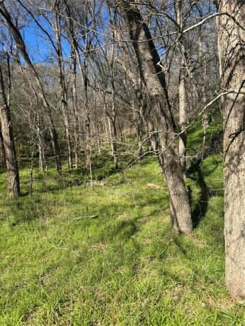 Lots 638. 639. 640 Kaukonahua Lane Bastrop TX 78602